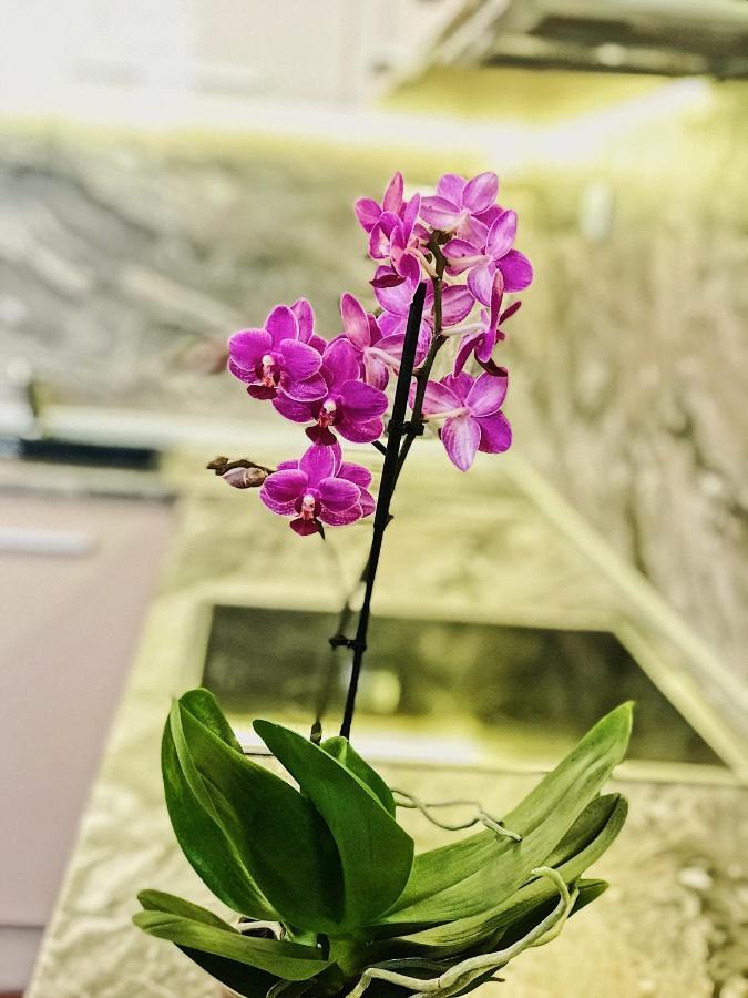 Spacious And Bright Maisonette Varna Center ภายนอก รูปภาพ